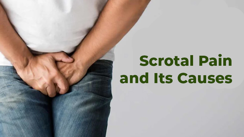 Scrotal Pain and Its Causes 800×450 px