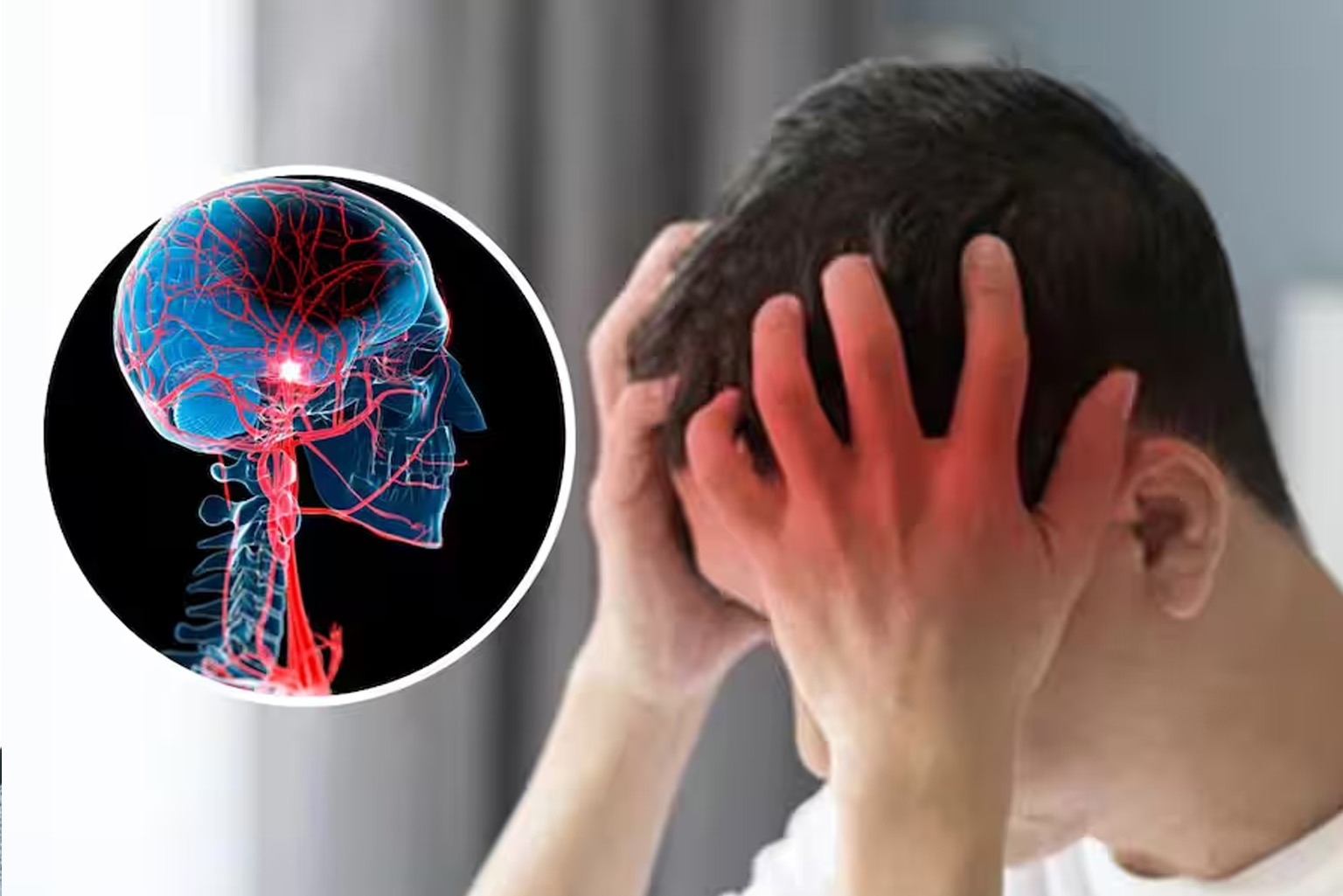 Trsutwell Hospital ( TWH) Stroke Programme