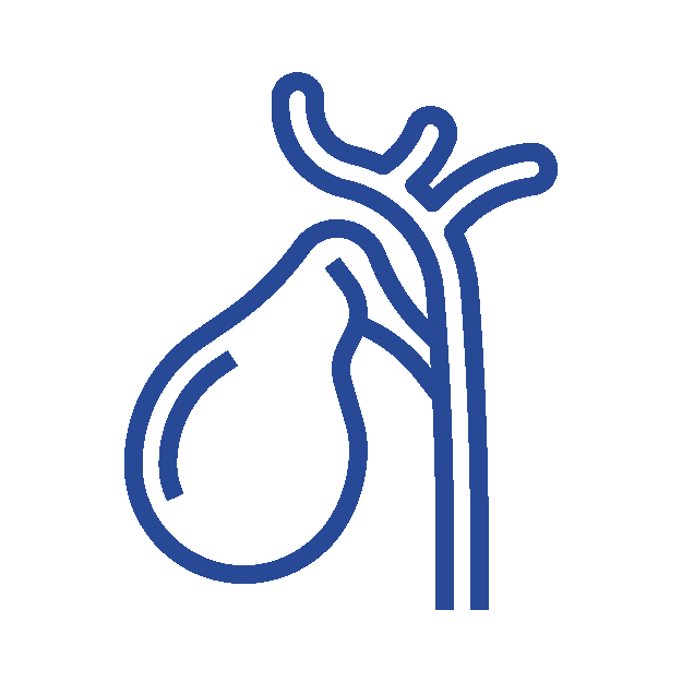 Gallbladder