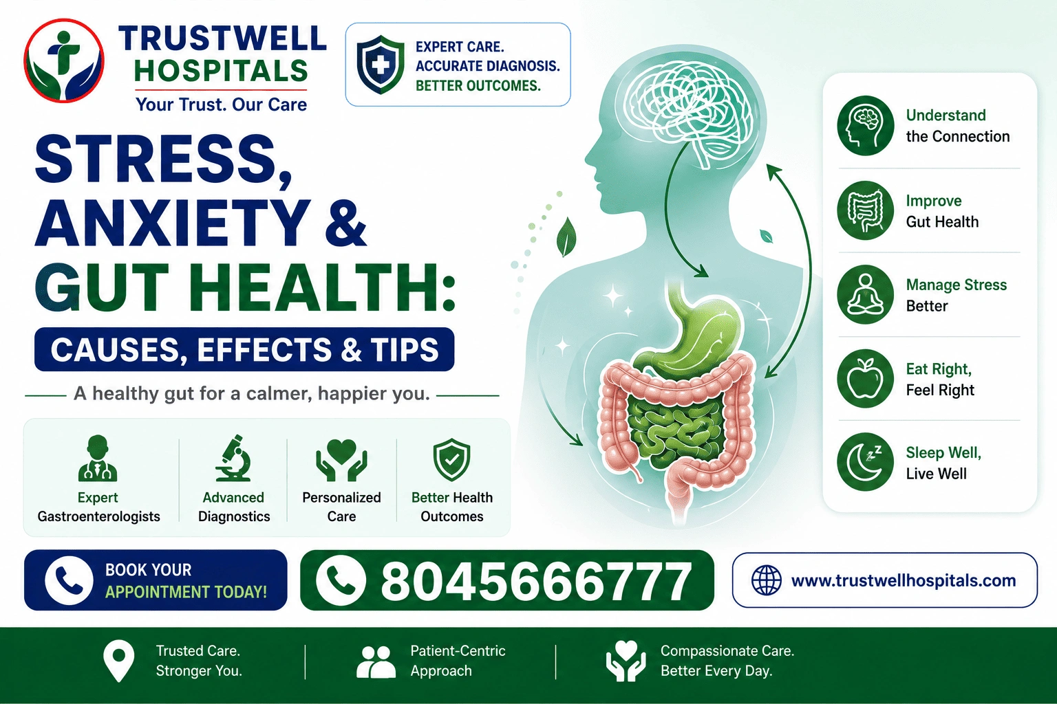 stress anxiety and gut health